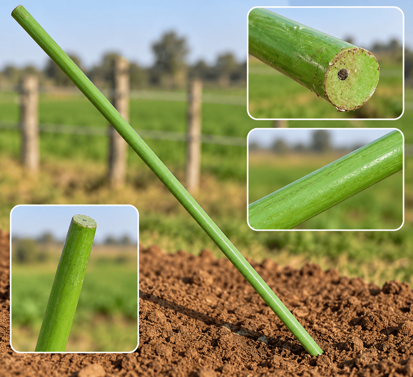 Green Agricultural Fencing Pole 6Feet 16mm 12Pcs for Solar Jhatka Machine | Electric Fence Support Rod | Farm Protection Pole